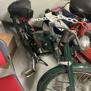 Bianchi aquilotto