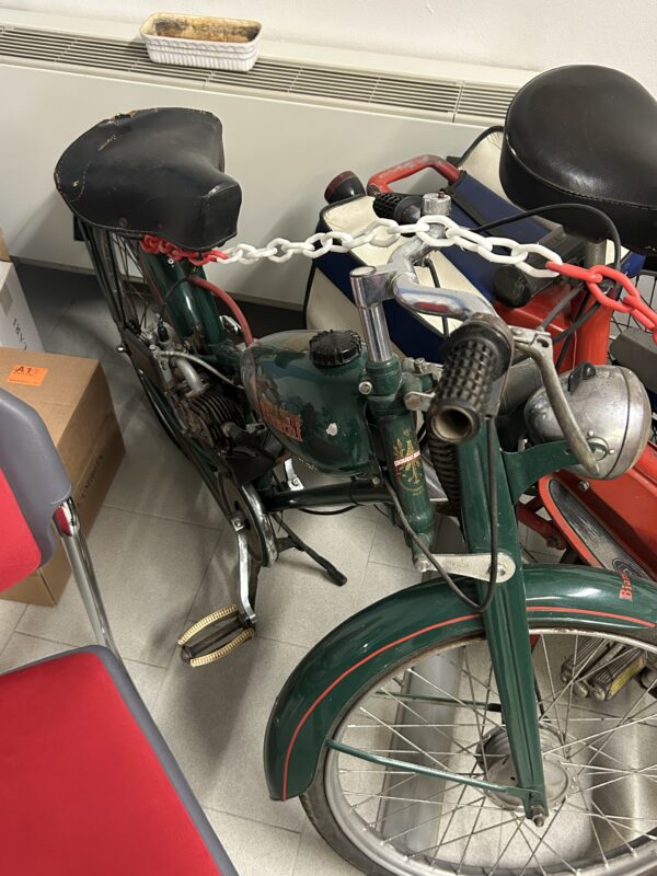Bianchi aquilotto